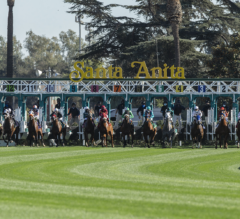 Santa Anita Park Picks | Honeymoon Stakes 2024