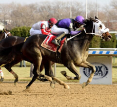 Lucky Move Gets the Better of Mrs. Orb in Bay Ridge
