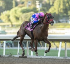 Alfred Pais’ Hombred Brickyard Ride Totally Dominant In Registering 3 1/4-Length Score In $150,000 Don Valpredo California Cup Sprint