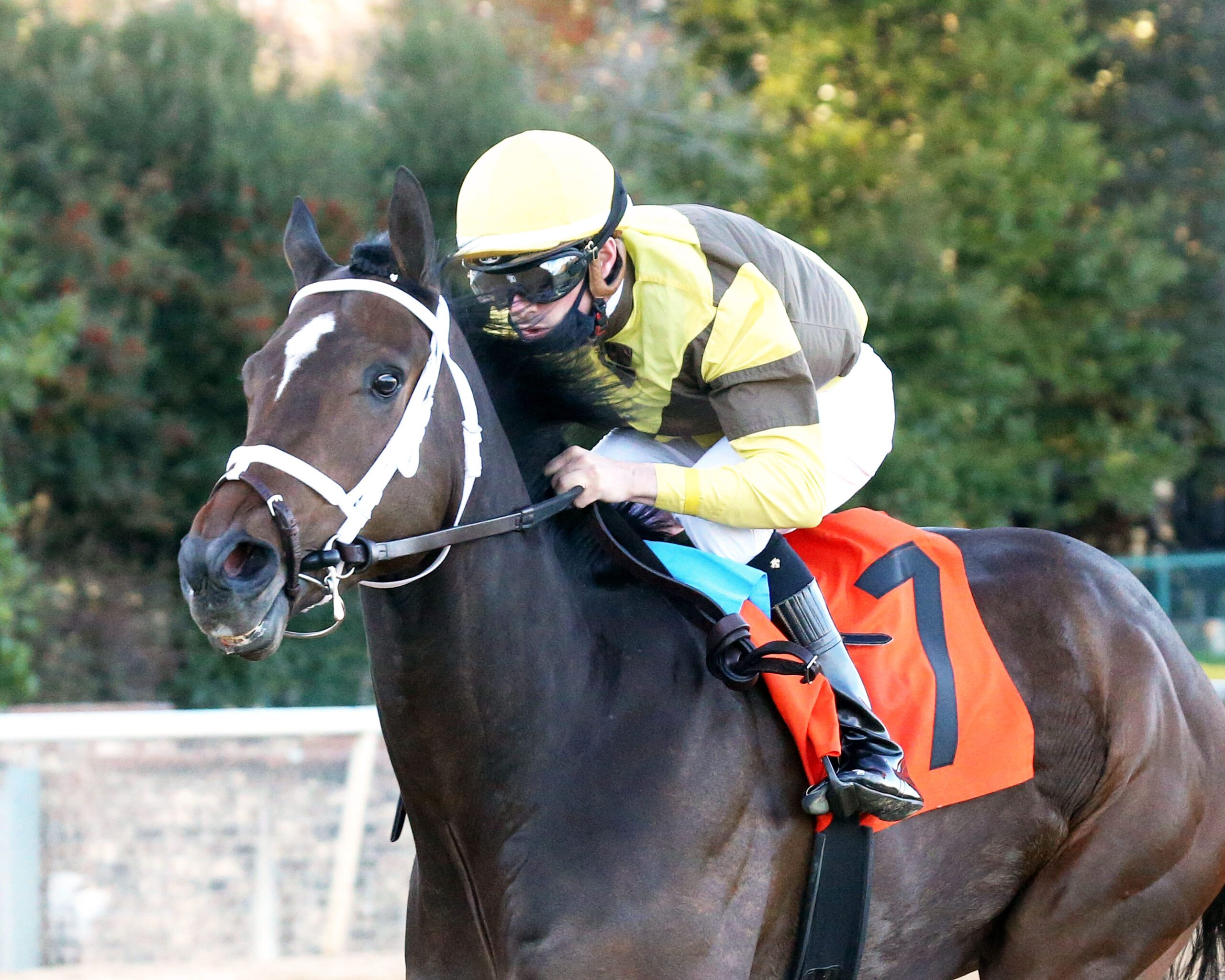 Oaklawn Park Entries And Results - u92jolq