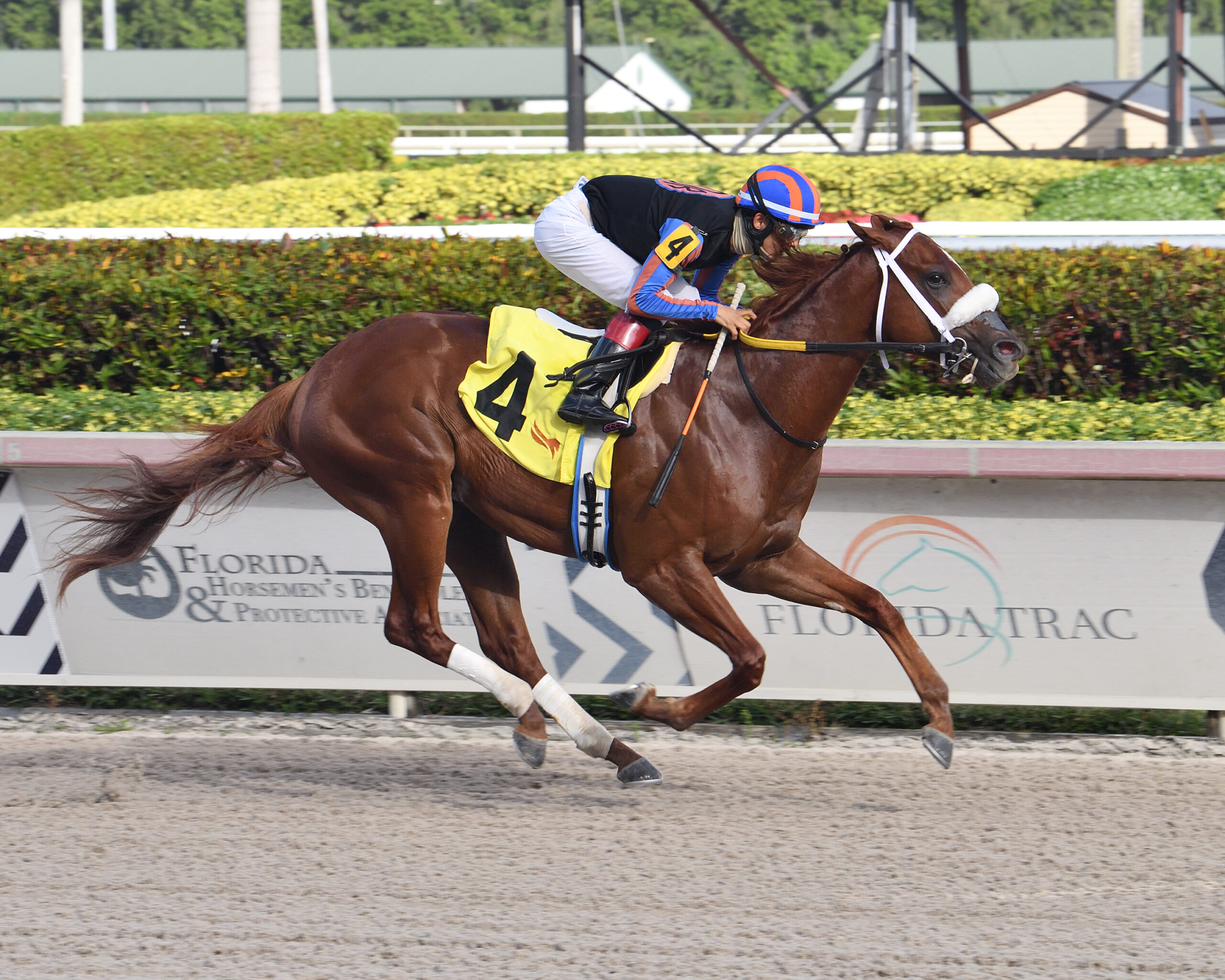 Drain the Clock Runs Off in Limehouse