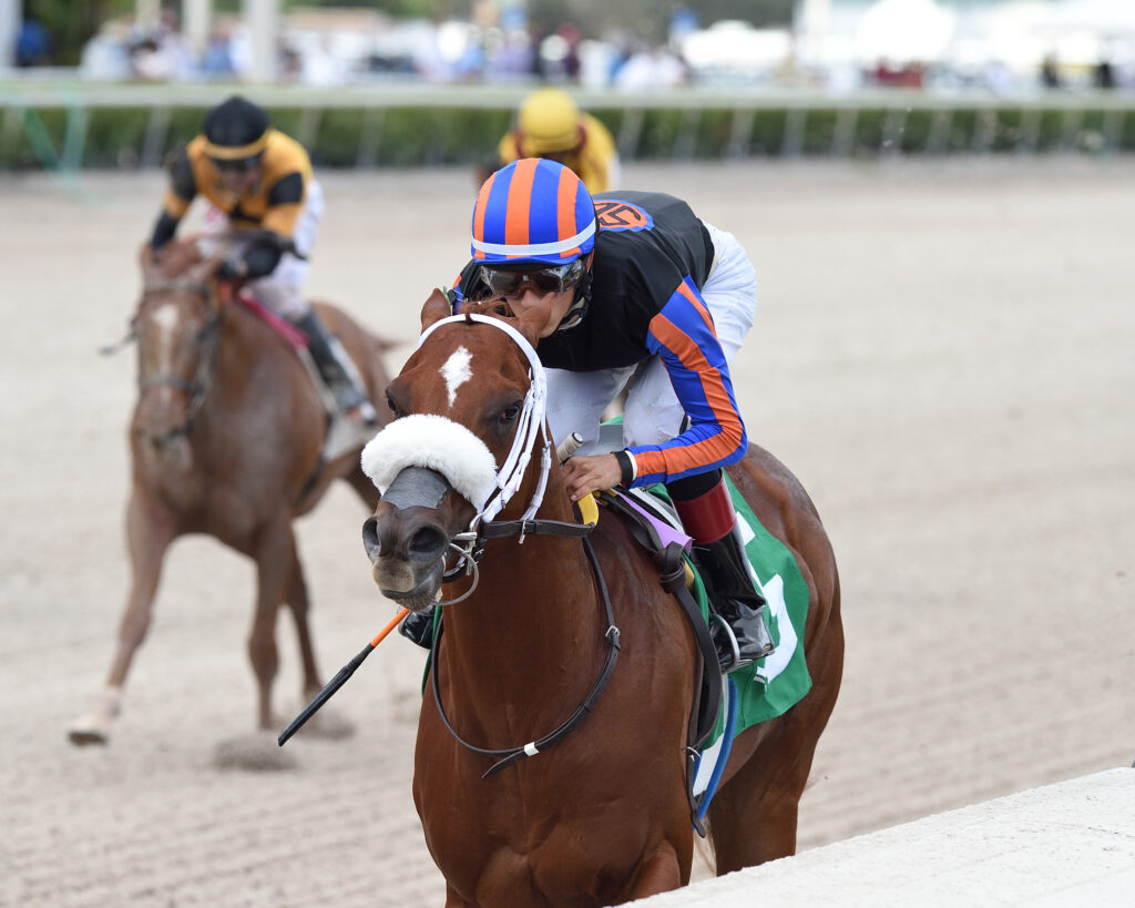 Drain The Clock Nearing Derby Prep