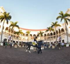 2022 Pegasus World Cup Preview | Updated Horses Invited; Did Our Top Pick Change?