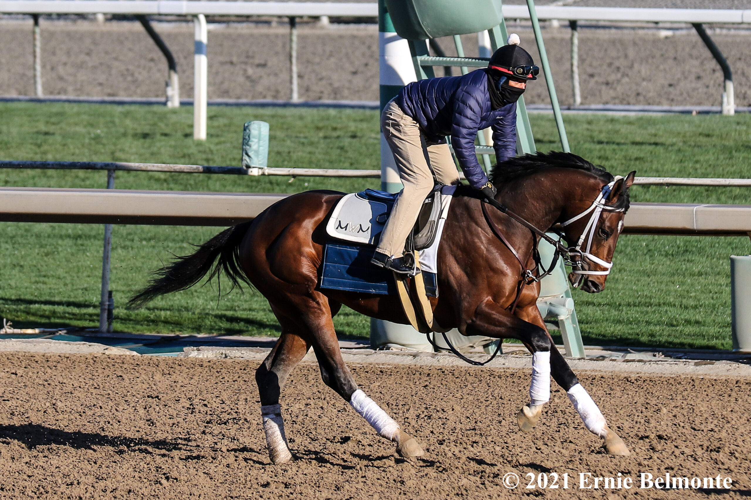 Belmont Park Race Entries - k2xxmeq