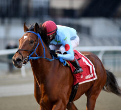Capo Kane Among 14 New Names in Kentucky Derby Future Wager Pool 2