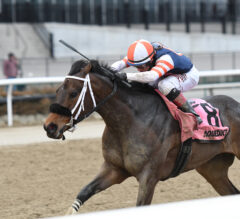 Gravesend Preview: My Boy Tate Poses Threat