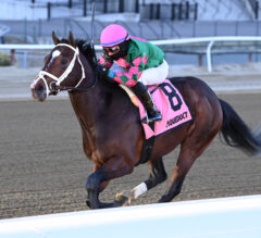Perfect Munnings Leads Barn Exacta in Rego Park