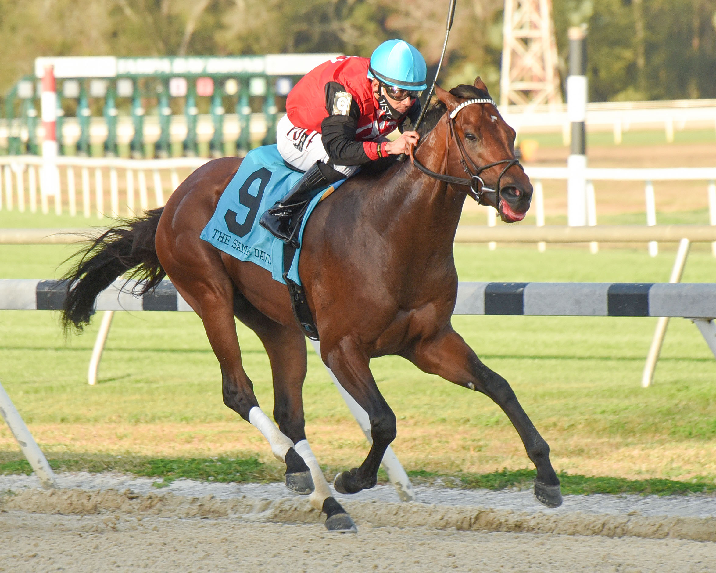 Gulfstream Picks Racing Dudes - iytzig7