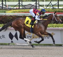 Florida Derby Likely for Impressive Maiden Winner Collaborate