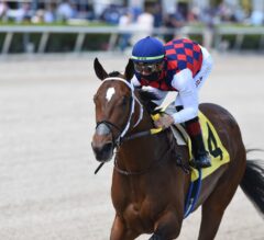 Collaborate Showing “Great Progression” For Florida Derby