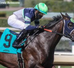 Santa Anita Derby Preview: Large Field Set to Square Off