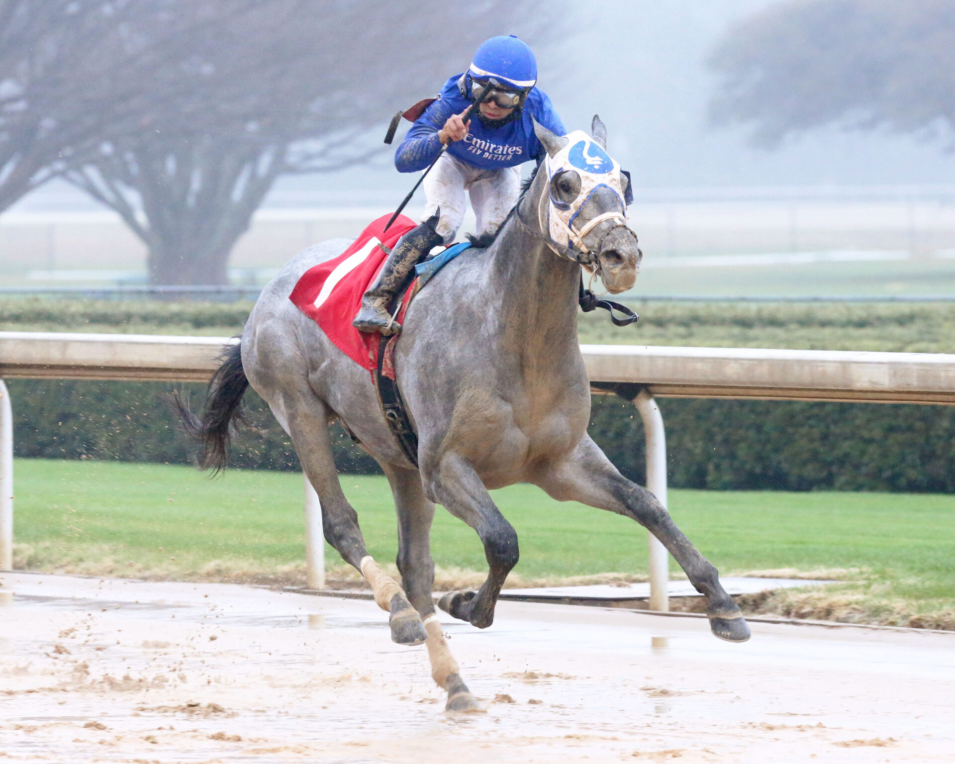 Kentucky Derby Top 20 Rankings 3/3/21 Racing Dudes