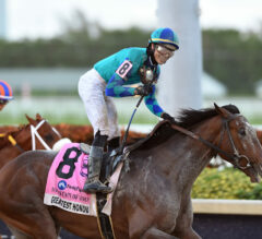 Racing Dudes 2021 Florida Derby Wagering Guide and Picks