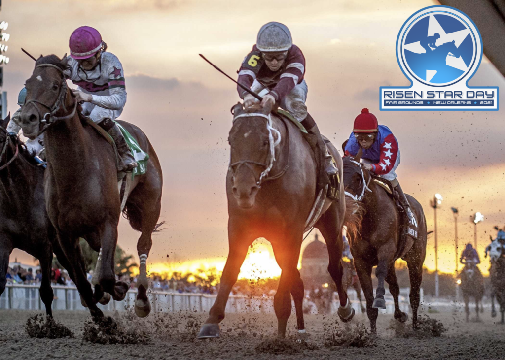 Risen Star Stakes Contenders, Picks and Results