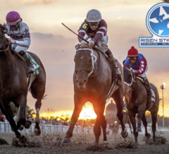 Racing Dudes 2021 Risen Star Wagering Guide and Picks Presale