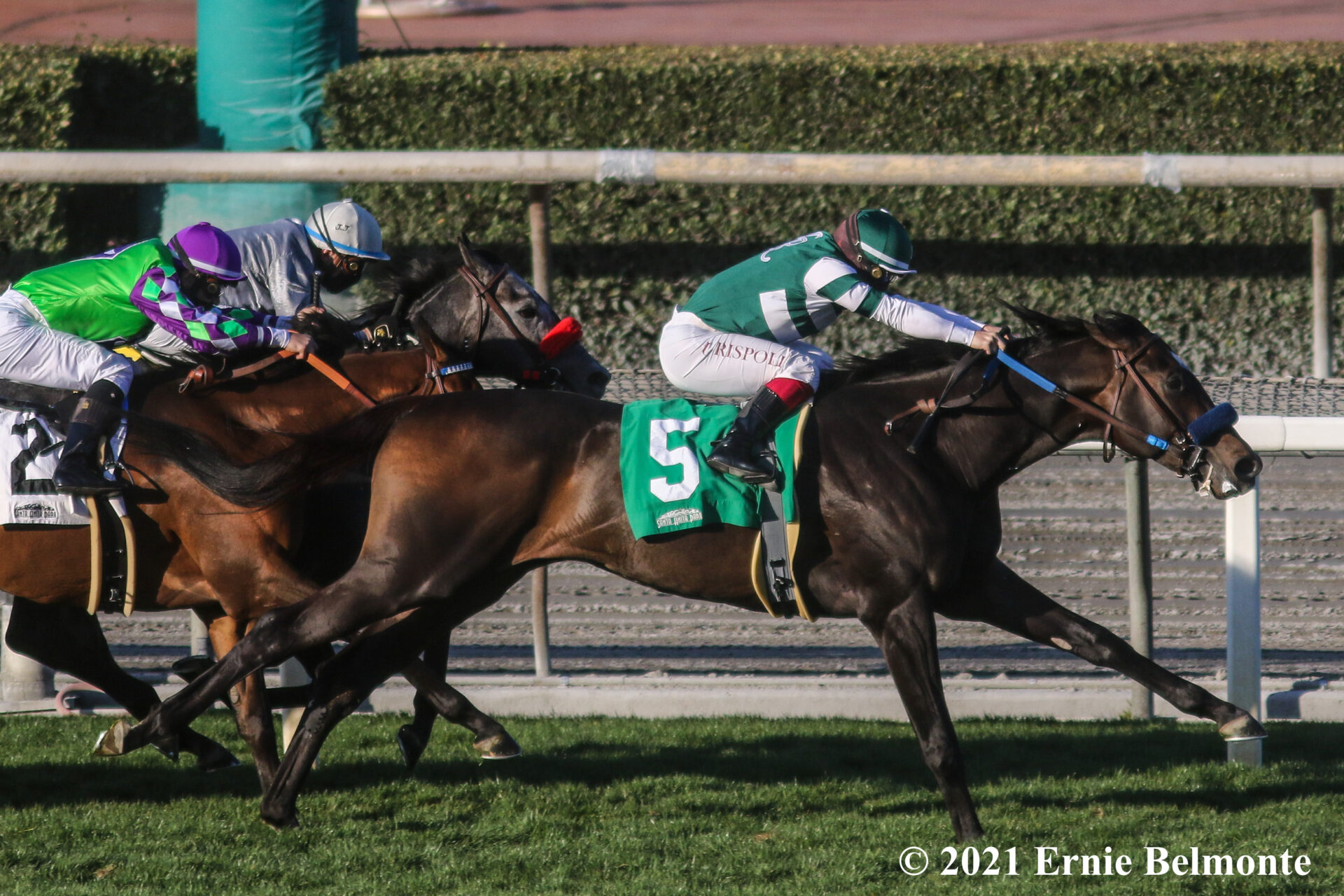 Kentucky Derby Contenders Pedigree Analysis Rock Your World Racing Dudes