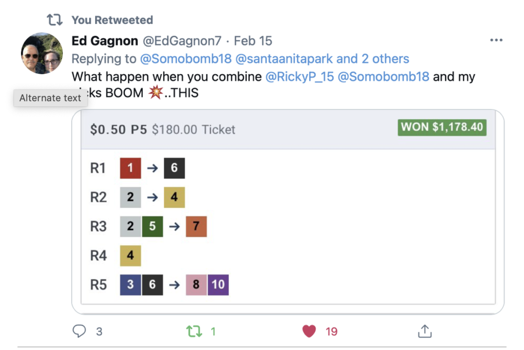 Woodbine Picks Thoroughbred Racing Dudes