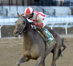 Wood Memorial Preview: Last Chance for Derby Points in New York