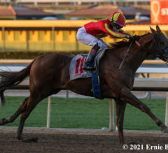 Defunded Seeks First Stakes Victory In Los Alamitos Derby