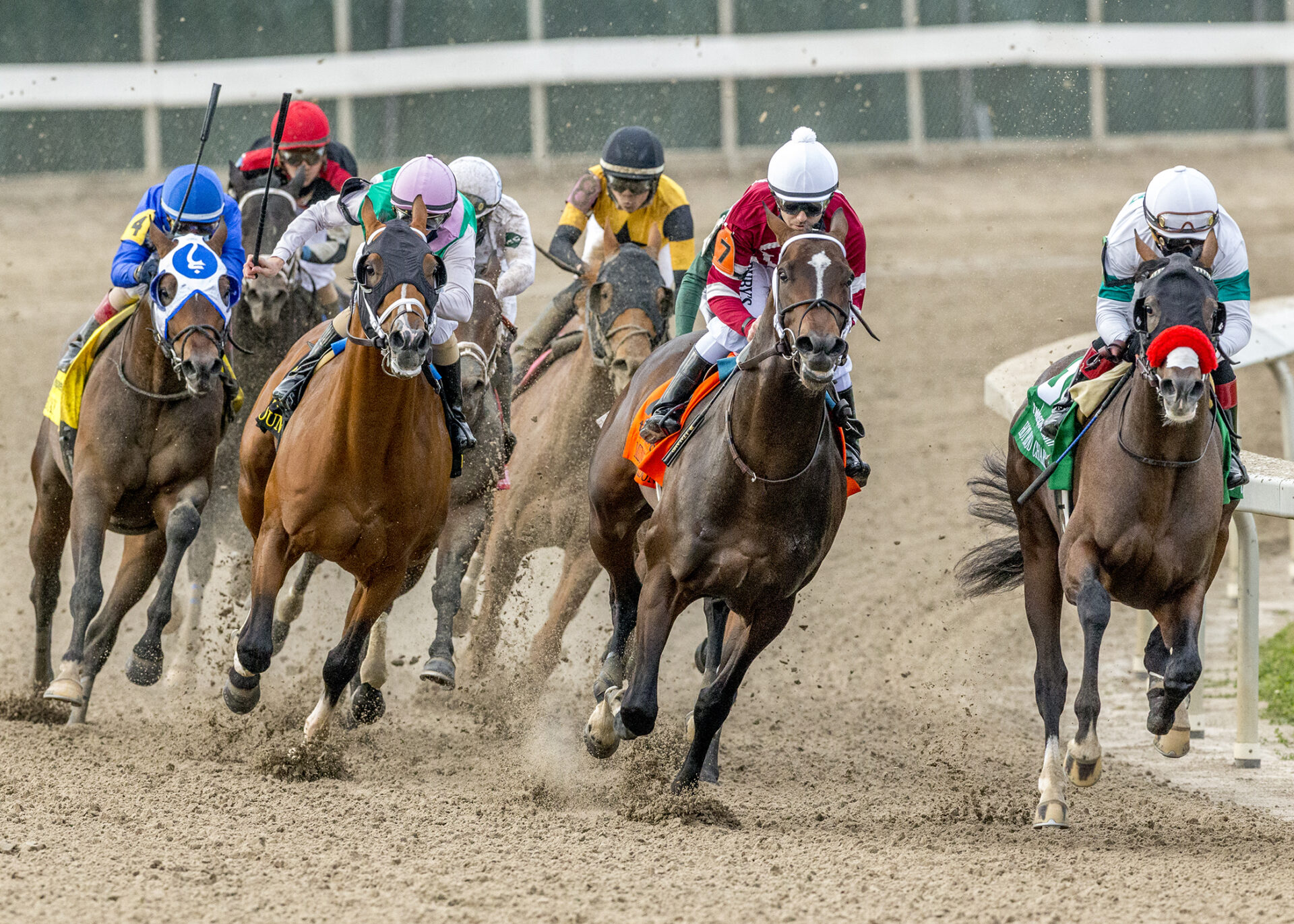 Louisiana Derby Winner Hot Rod Charlie Straight to Kentucky Derby