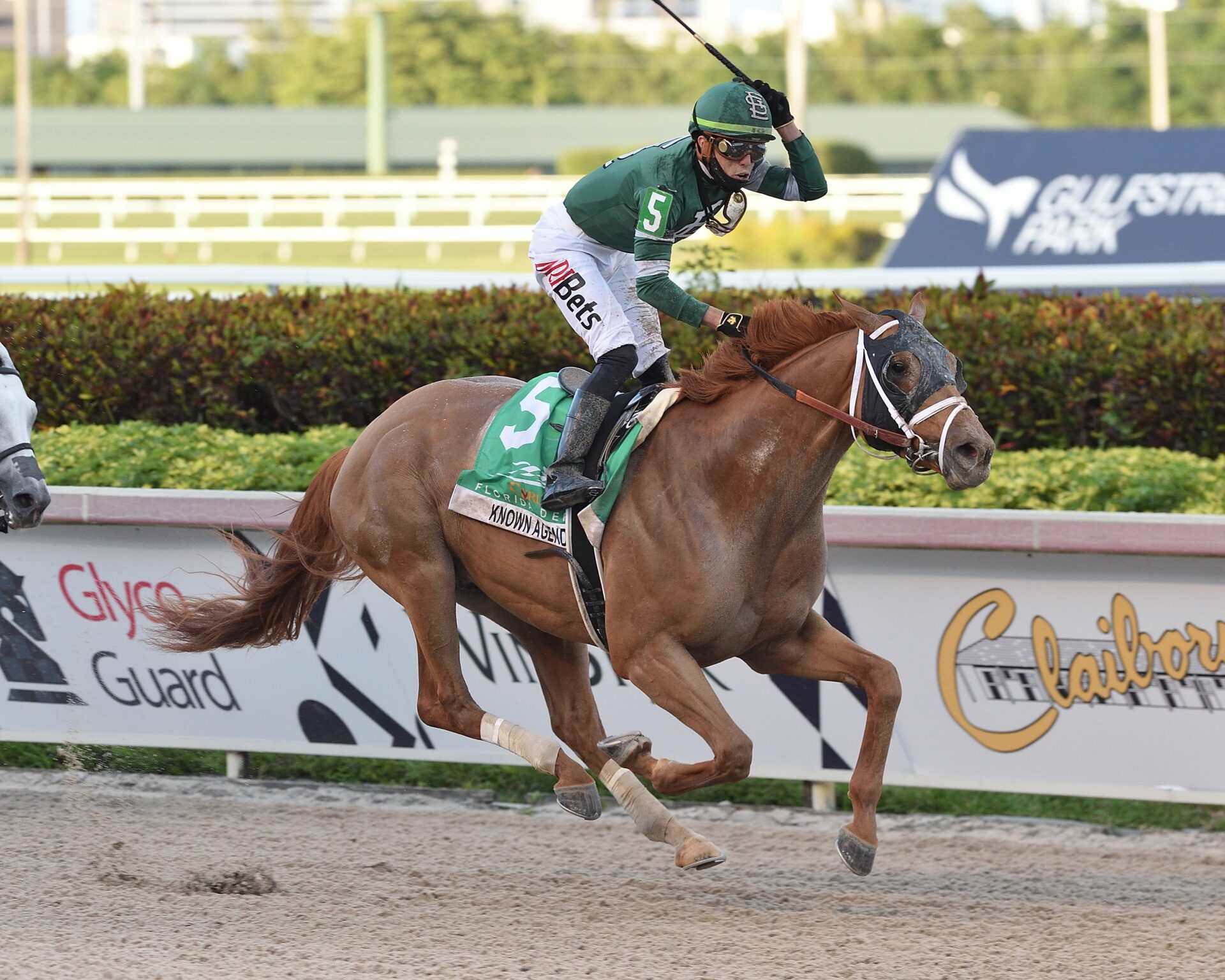 horses in the florida derby