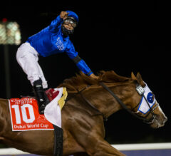 World Of Opportunities Await UAE Derby Winner Rebel’s Romance