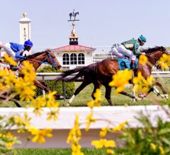 2022 Preakness Stakes | Who’s Running? Early Preview, Win Picks, & Longshots