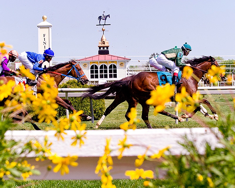 2022 Preakness Stakes Who's Running? Early Preview, Win Picks