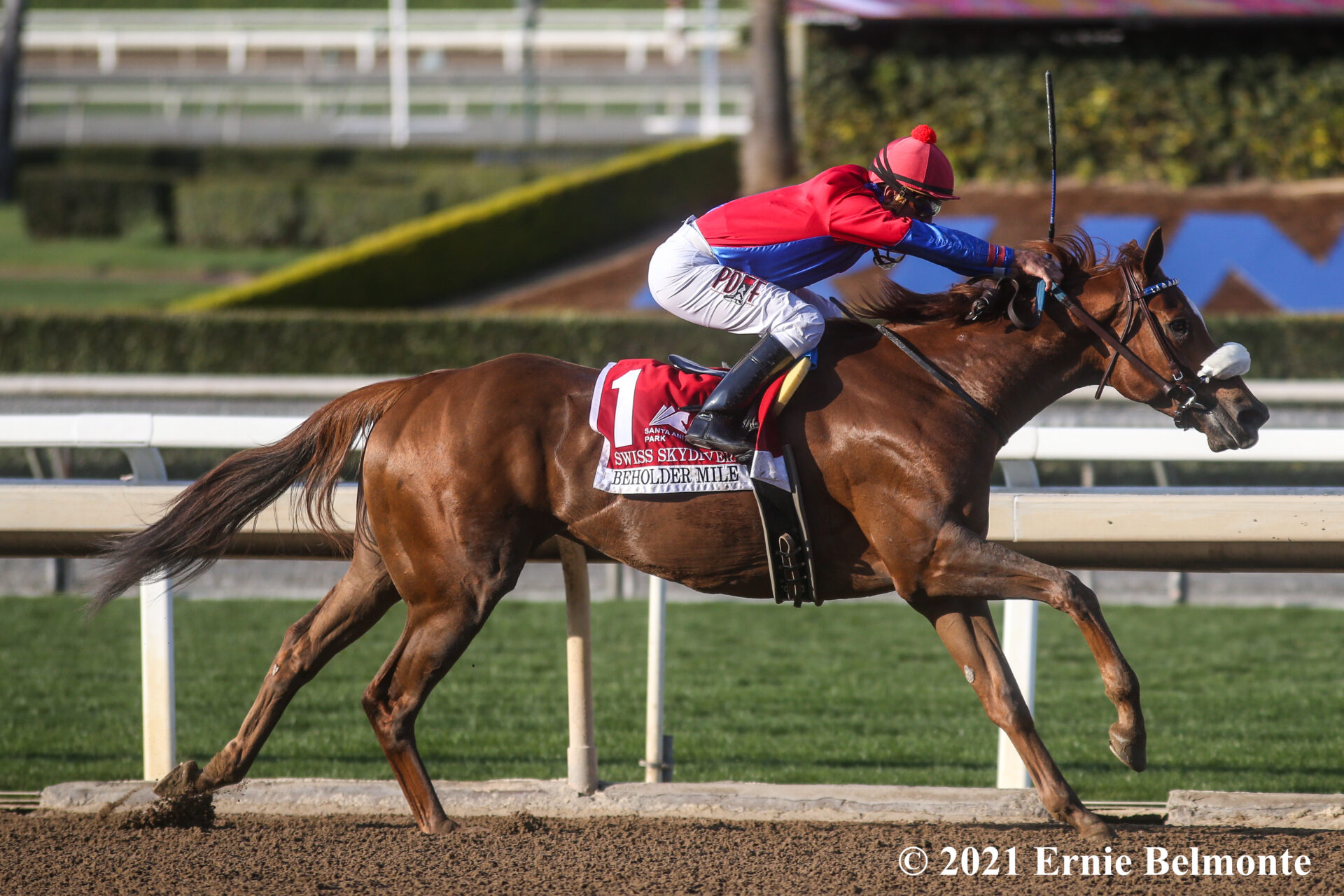 Racing Dudes Three Stars of the Week Swiss Skydiver Steals the Show
