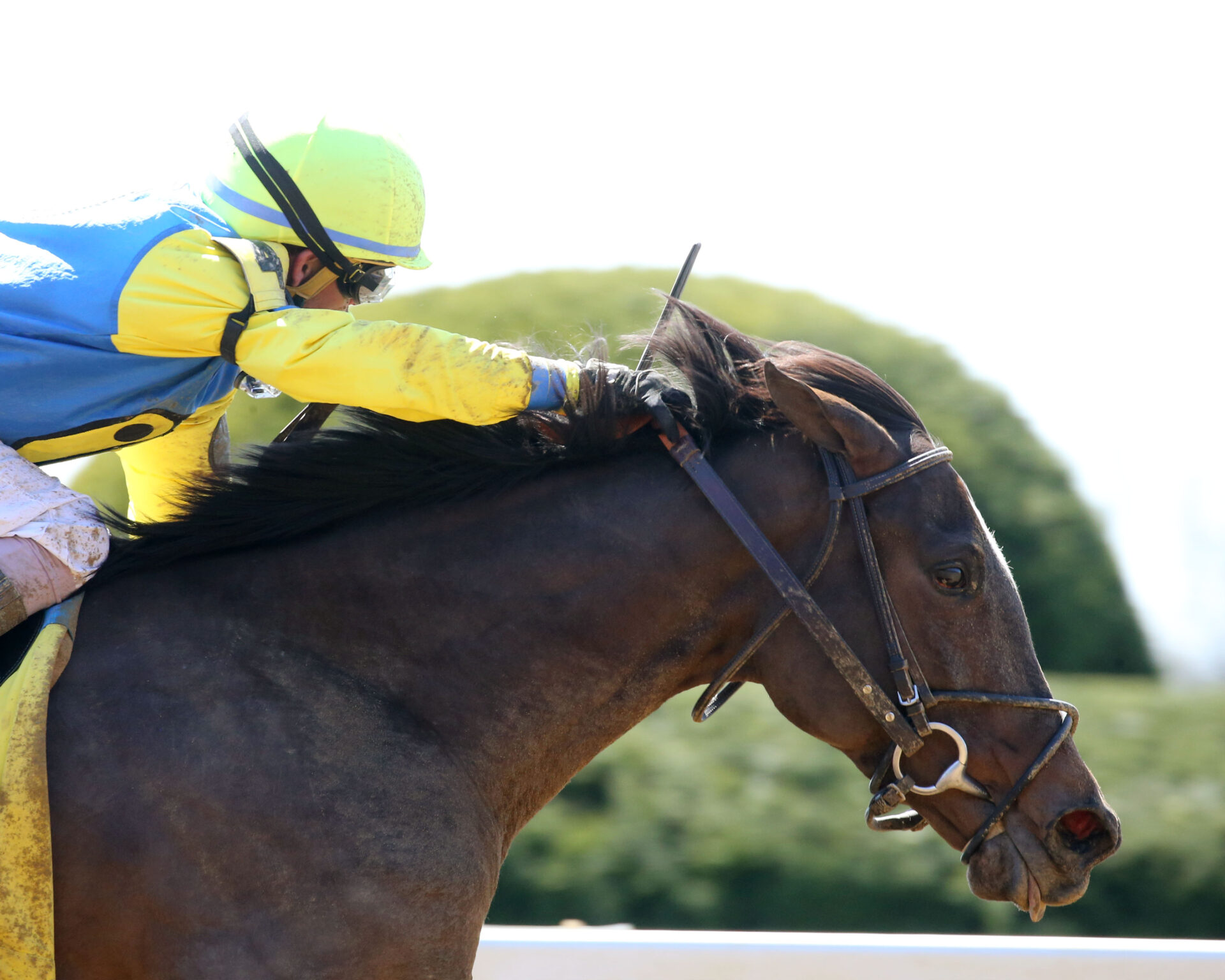 Churchill Downs Racing Dudes