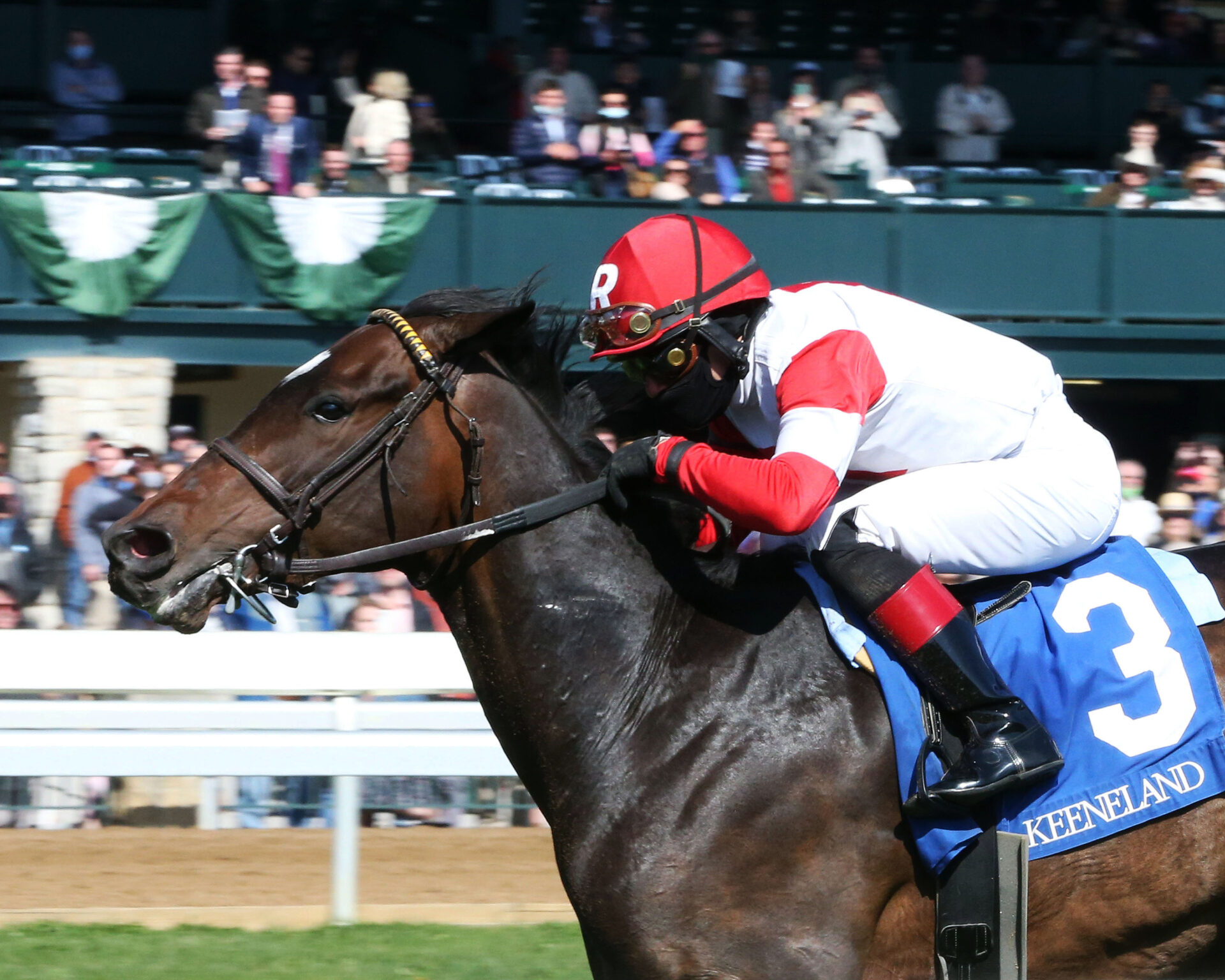 Everyone Vainly Chases Artie in Palisades Turf Sprint Racing Dudes