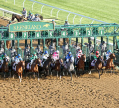 2022 Blue Grass Picks and Wagering Guide Presale