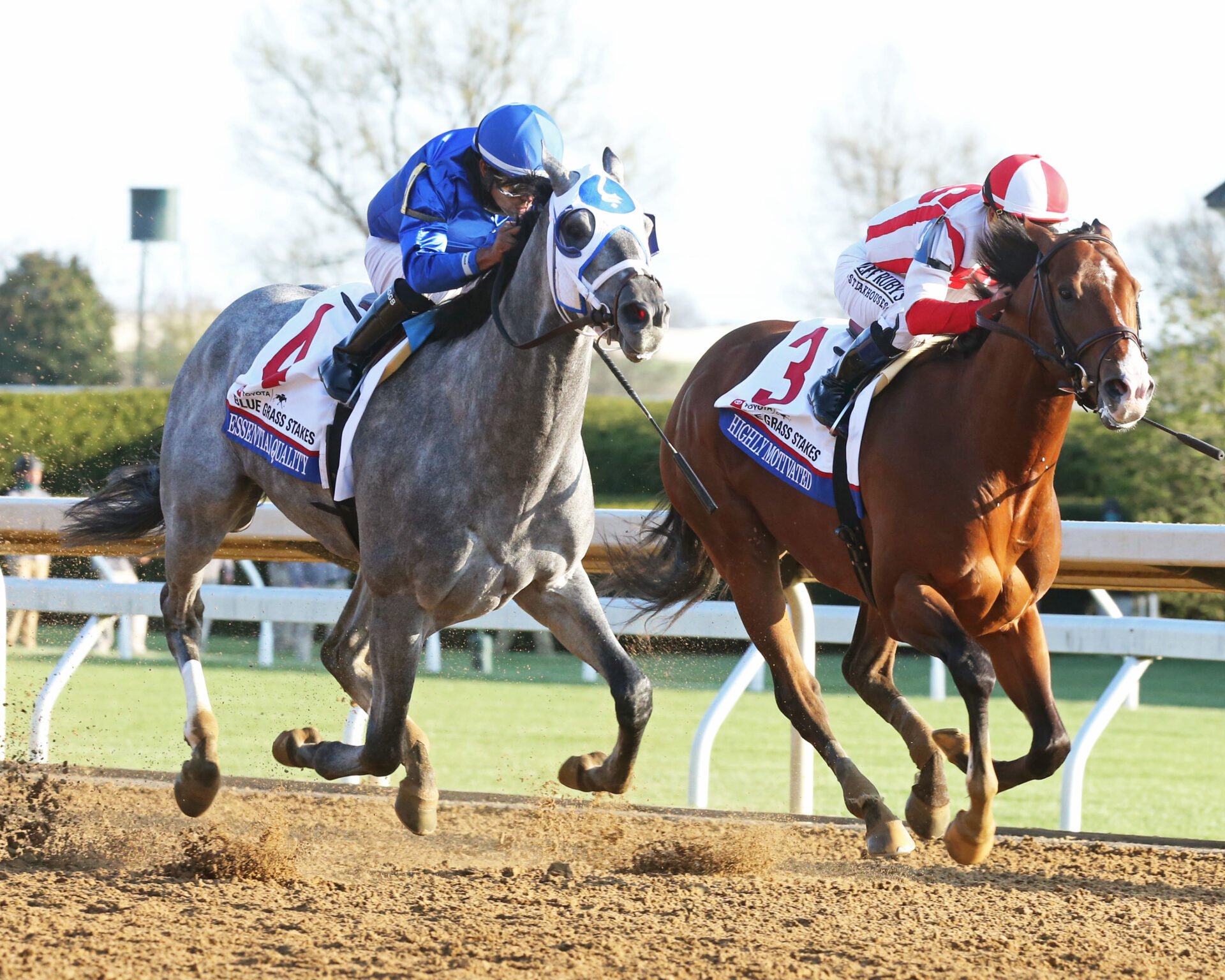 Blue Grass Stakes Contenders, Picks and Results