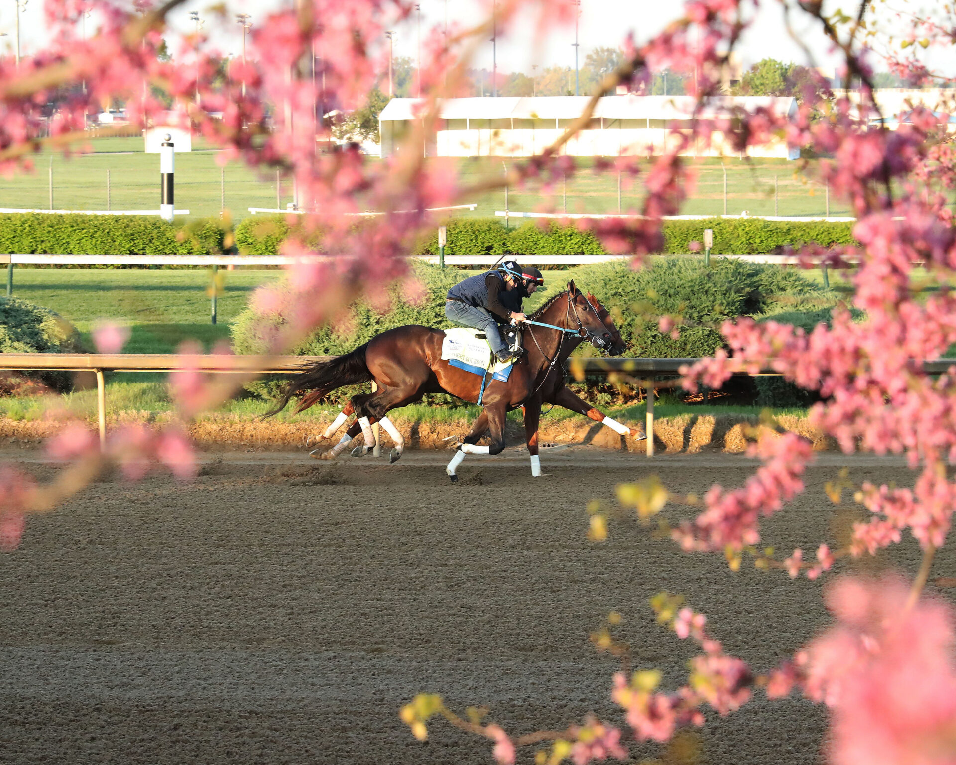 Churchill Downs Racing Dudes - id5n1xl
