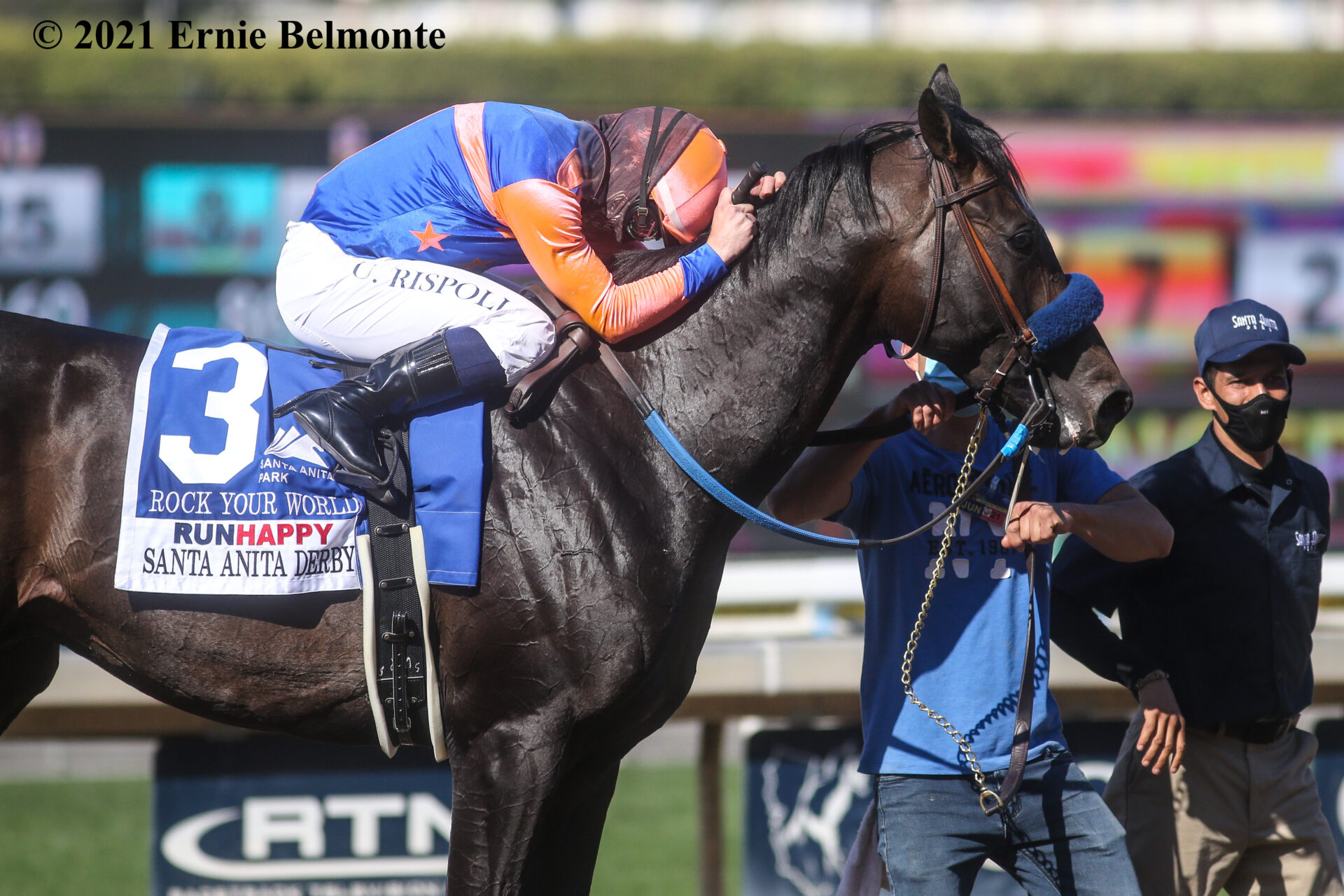 Kentucky Derby Contenders Pedigree Analysis Rock Your World Thoroughbred Racing Dudes