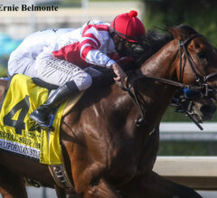 Royal Ship Prevails by a Neck in Californian