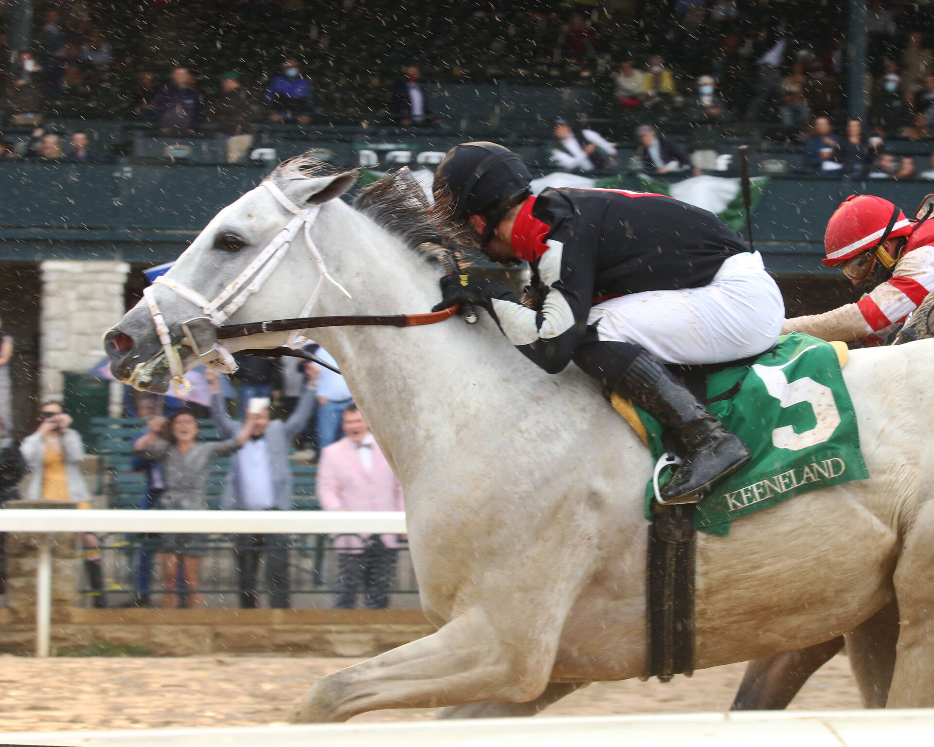 Silver Dust Resilient to the End in Ben Ali Racing Dudes