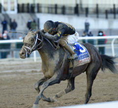 2023 Stymie Stakes Preview & FREE Picks | Bourbonic Returns To Aqueduct For Todd Pletcher