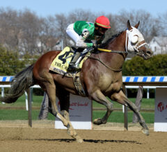 Mischevious Alex Stretches Out in Met Mile