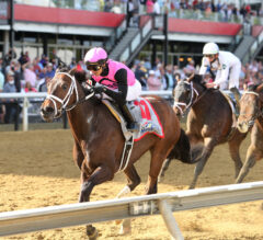 Last Judgment Goes Gate to Wire in Pimlico Special
