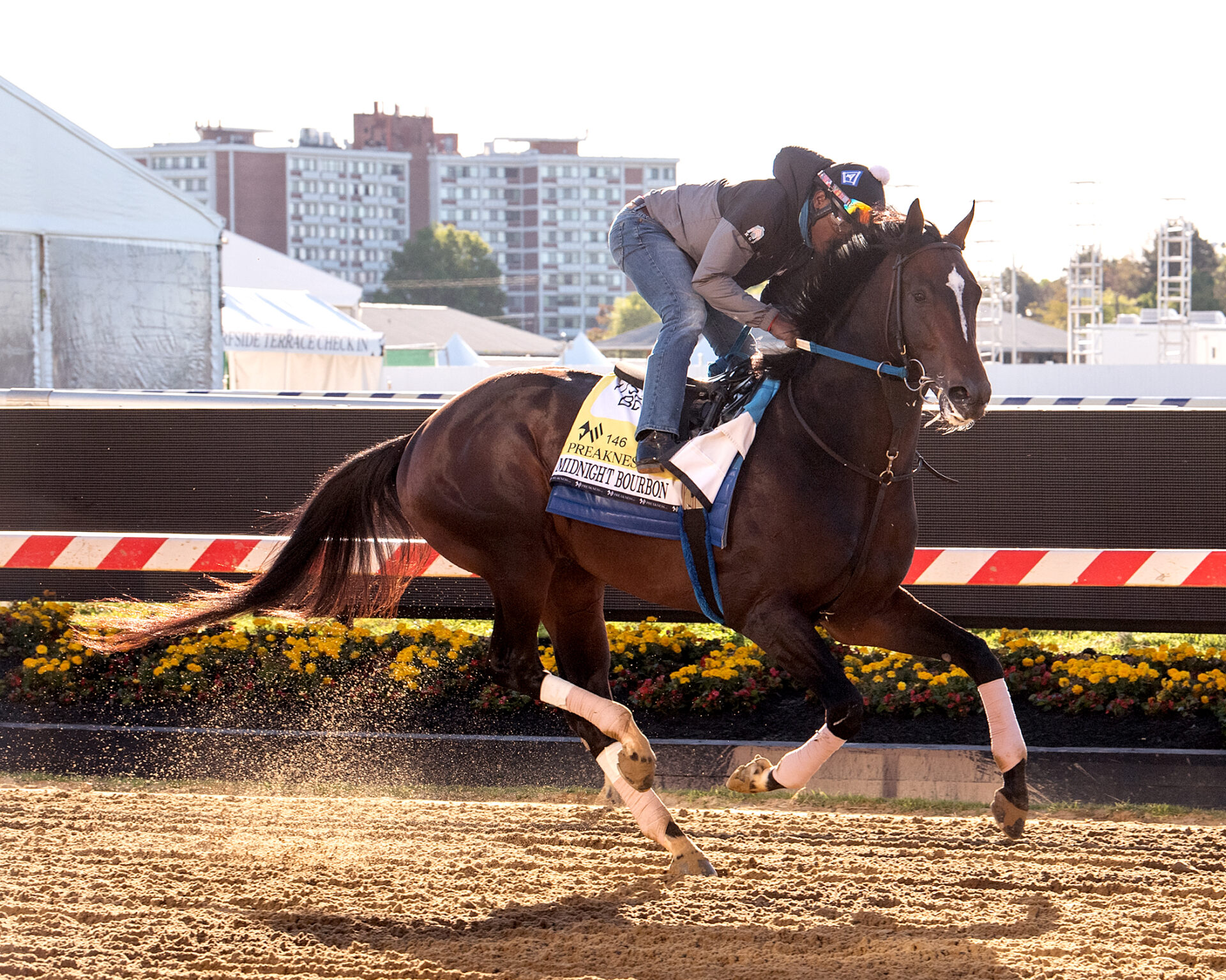 racing dudes picks today