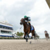 2022 Lecomte Stakes Preview, Free Picks, And Longshots | Epicenter, Pappacap Clash On Kentucky Derby Trail