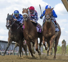 Red Ghost Rises to Occasion in Miss Preakness