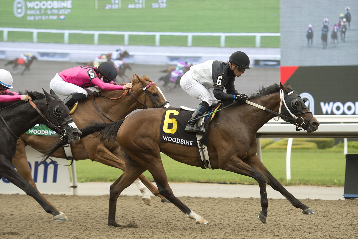 Can't Buy Love Surges To Victory In Star Shoot Racing Dudes