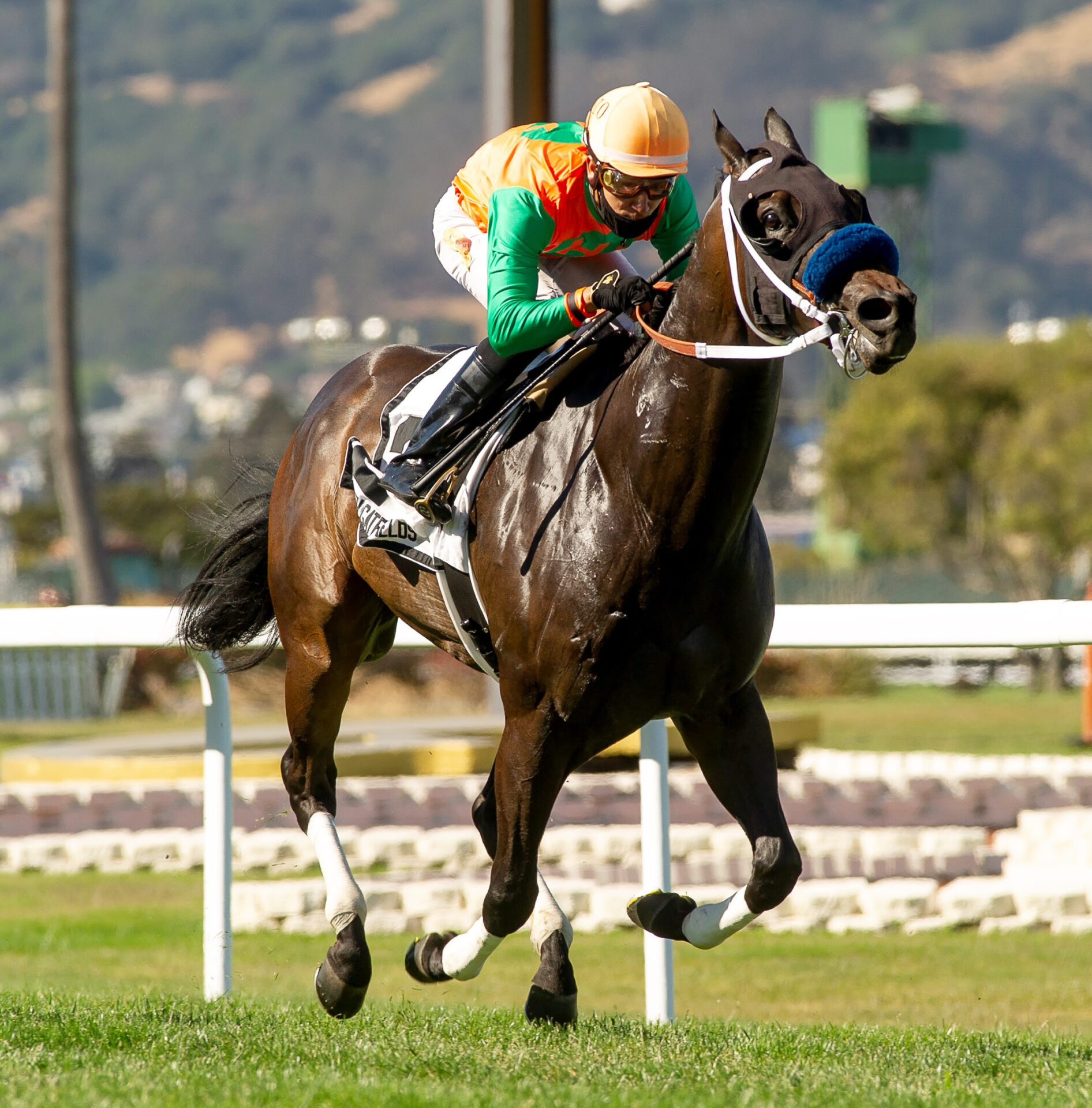 Give Me the Lute Gives Mathis Third Consecutive Albany Win Racing Dudes