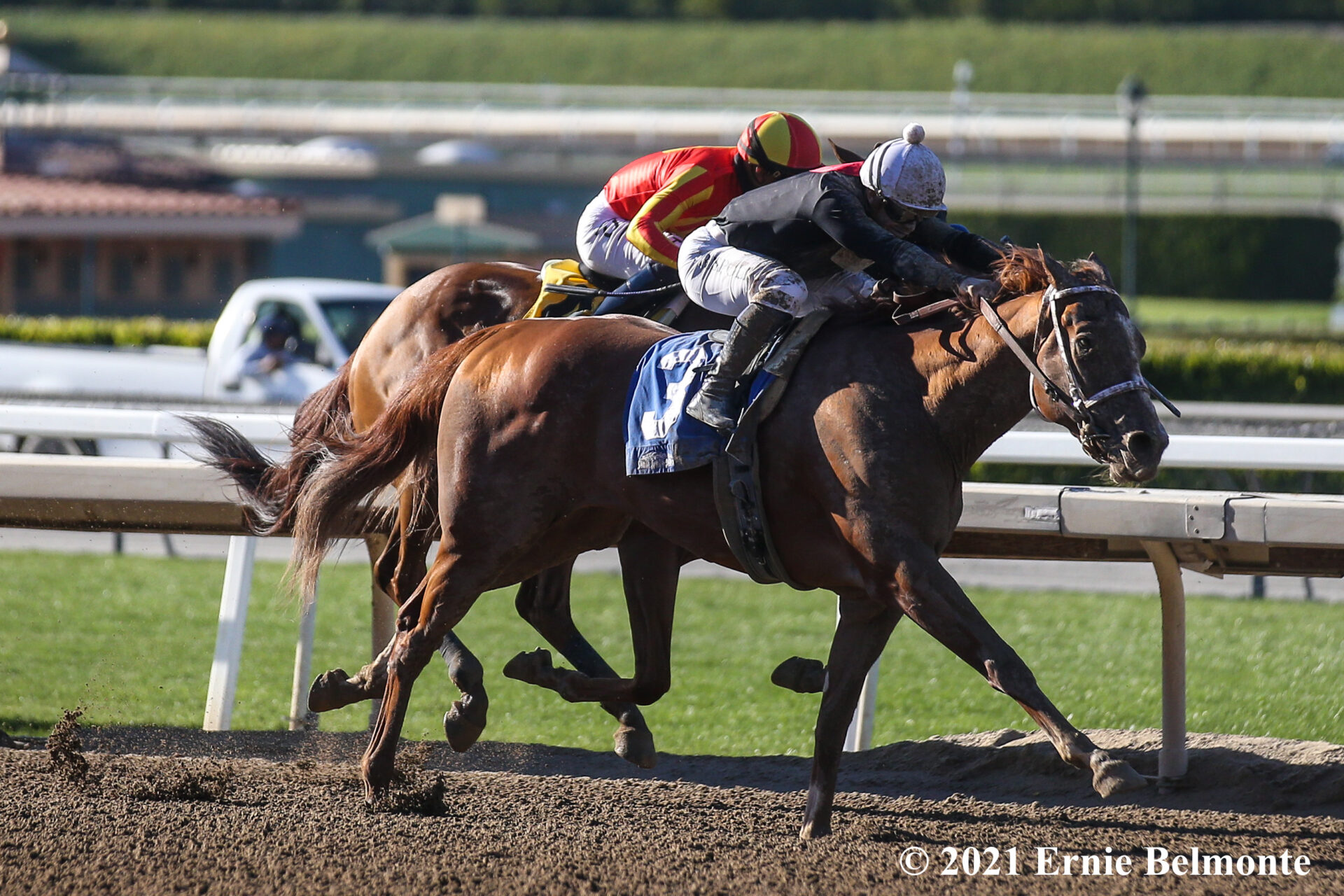 Racing Dudes Three Stars of the Week: Western Dirt, Lit-Up Turf ...