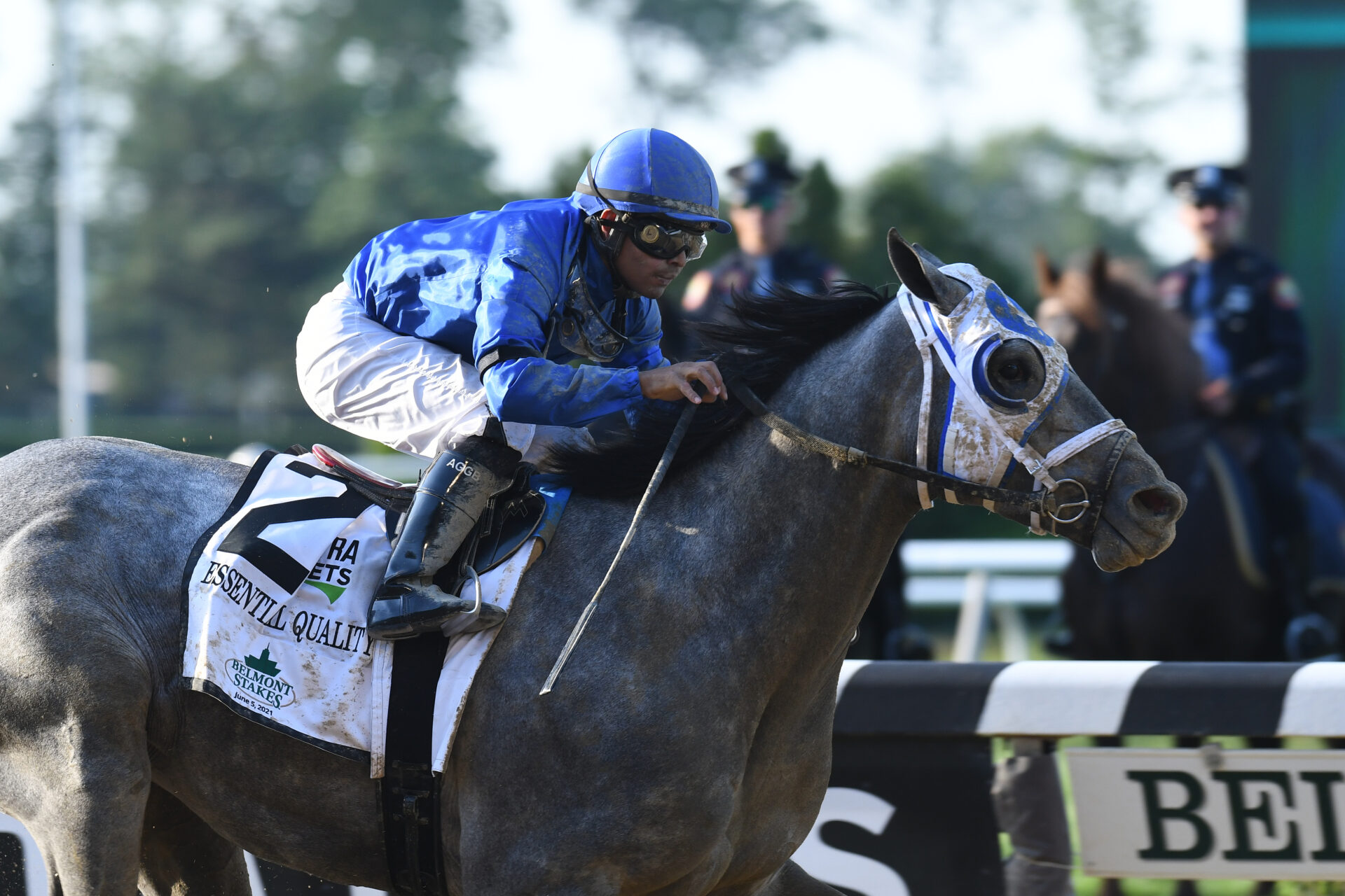 Jim Dandy Preview Will the Graveyard of Champions Claim Another Victim