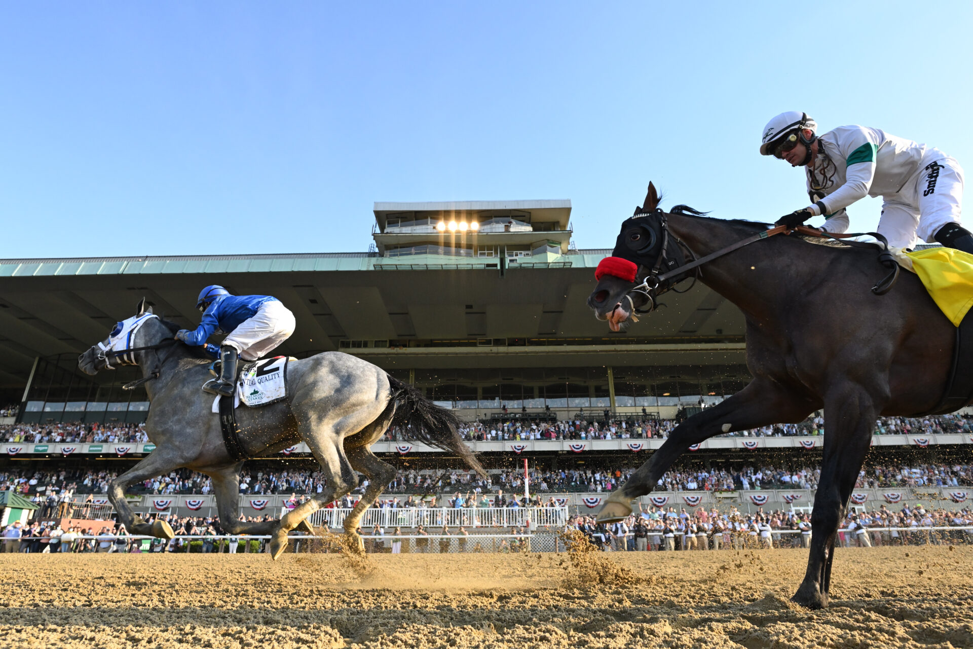 Belmont Stakes Horse Racing Picks, Contenders, Results, and News
