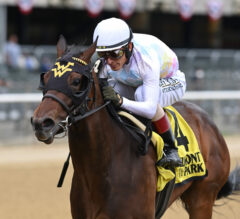 2022 Dixie Belle Stakes Preview, Free Picks, And Longshots | Happy Soul Makes Sophomore Debut