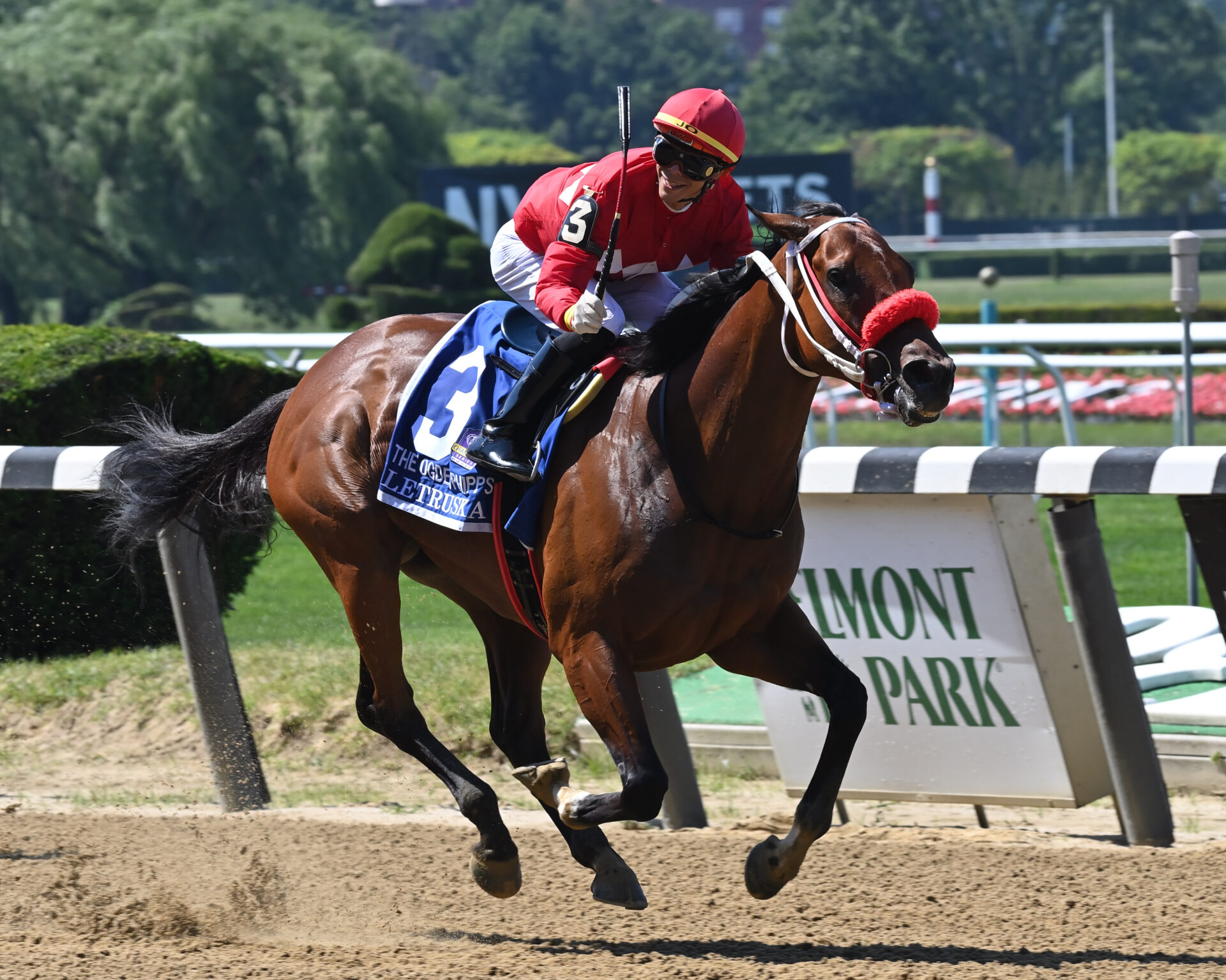 Letruska Romps in Ogden Phipps - Racing Dudes